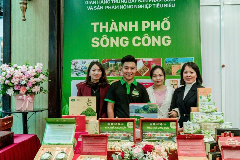 Hộp Trà Gỗ Tôm Nõn Cao Sơn ( OCOP 4 sao)