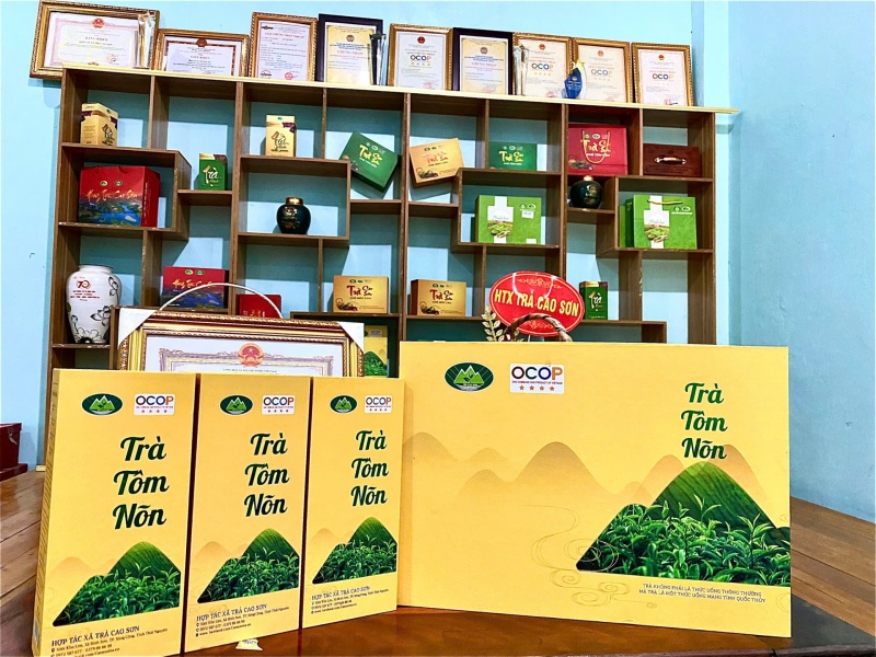 Hộp Trà Tôm Nõn Trà Cao Sơn