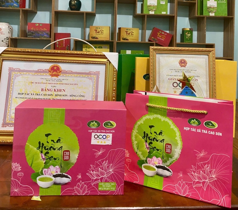 Hộp Trà Hương Sen Cao Sơn